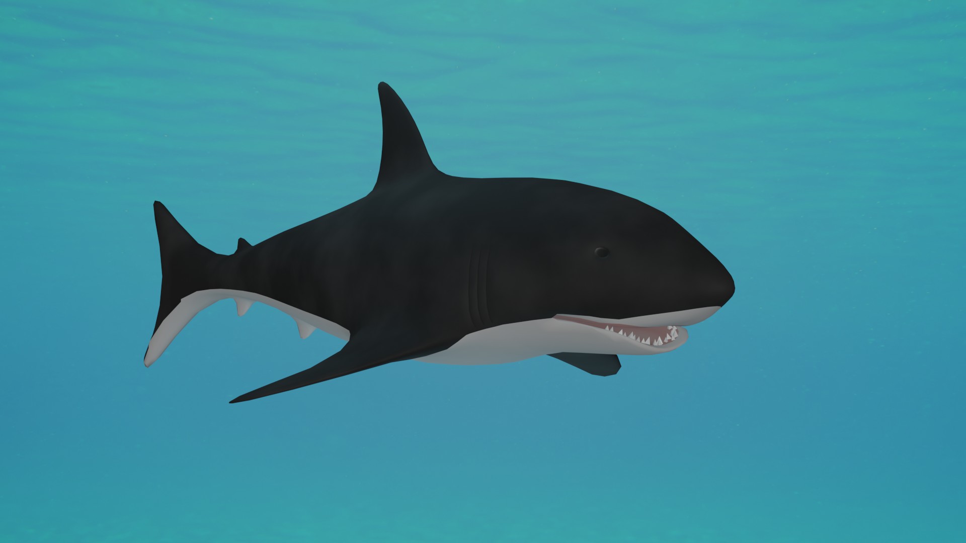 Shark preview image 1
